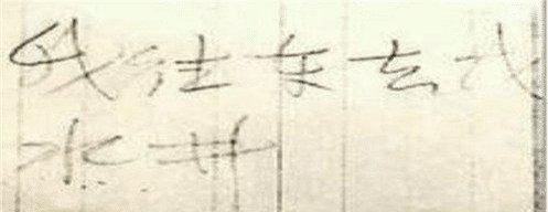 罗布泊双鱼玉佩复制人之谜(罗布泊之谜37年前彭加木为何神秘失踪双鱼玉佩又到底是什么)(4)