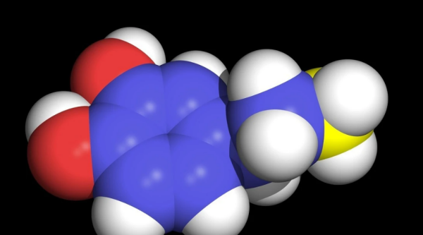 多巴胺是什么意思,巴胺是什么意思图1