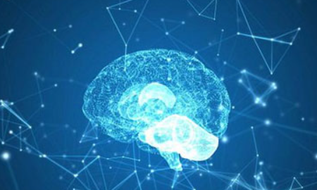 多巴胺是什么意思,巴胺是什么意思图4