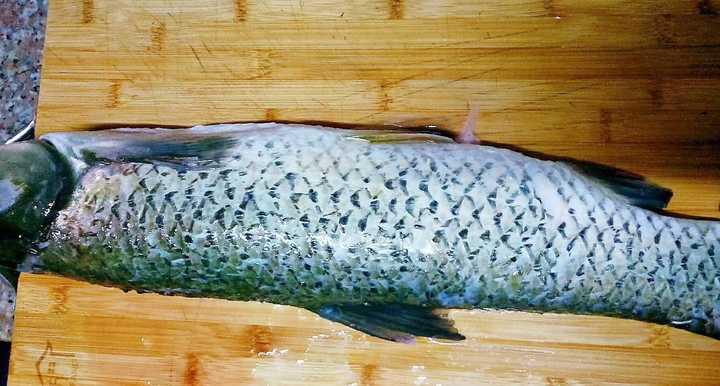 水丸的制作方法与流程（做水丸过年火锅必备）