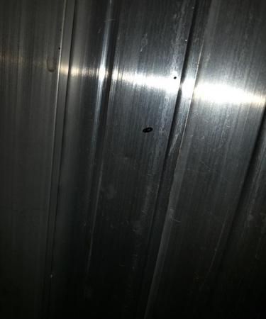 厨房里蟑螂太多怎么办