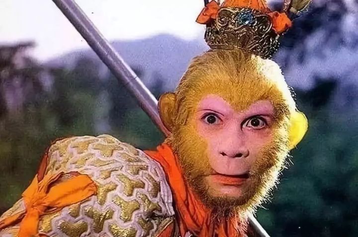 如何提升团队凝聚力（提高团队凝聚力的4种方法）