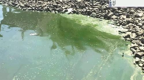 我们那的水质太硬了英语