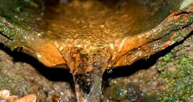 水质变软最简单办法,水质变软最简单办法是图4