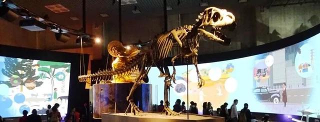 幼儿数学启蒙1-10 口诀（如何在家给娃数学启蒙）(22)