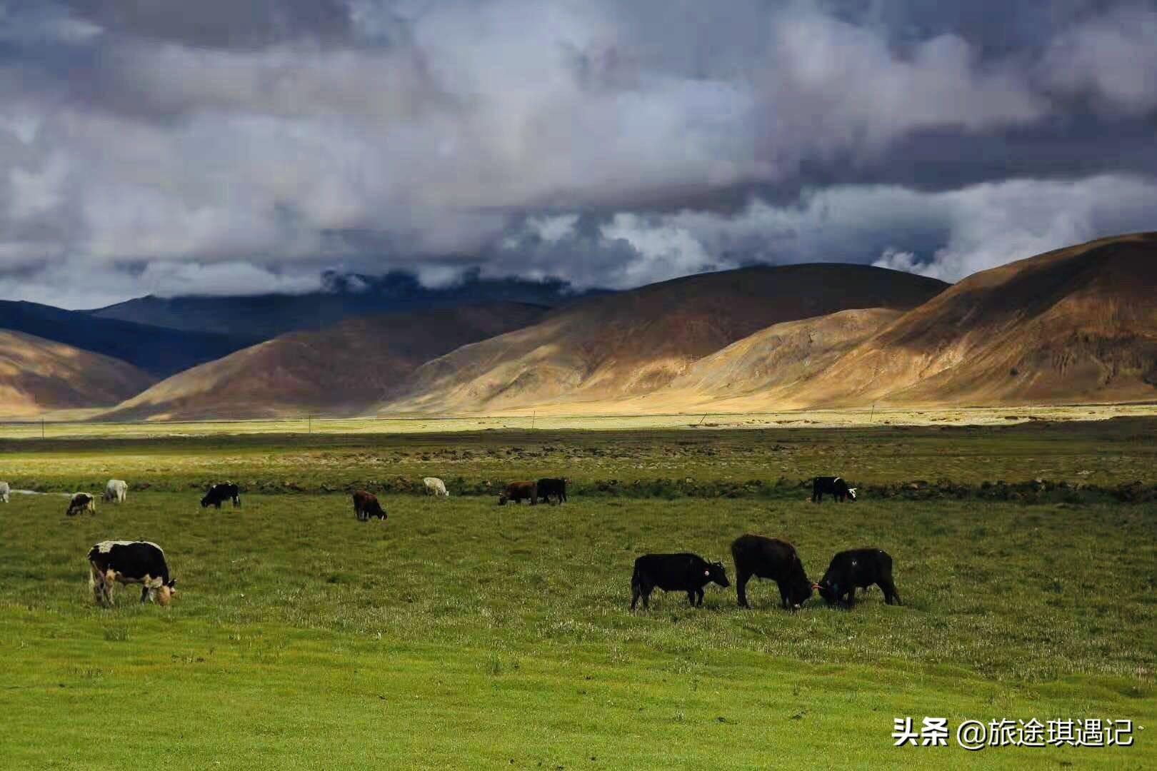 新疆分南北两疆哪个乱(南新疆和北新疆哪个治安好)