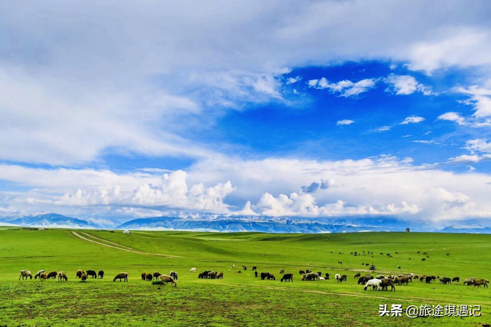 新疆分南北两疆哪个乱(南新疆和北新疆哪个治安好)