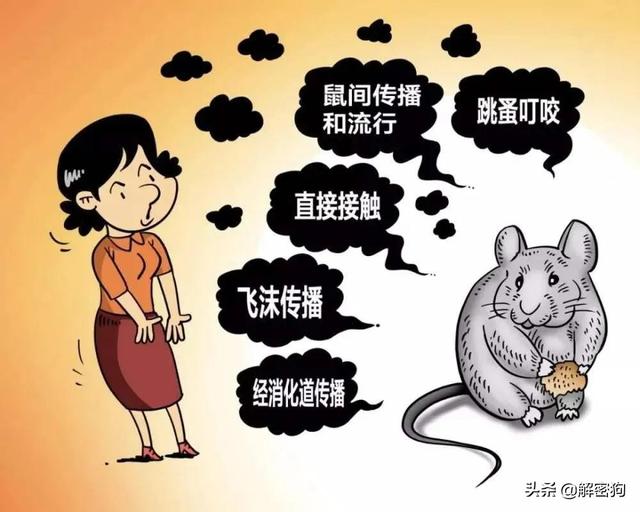 中世纪发生过的两大瘟疫（欧洲中世纪2500万人死亡的大瘟疫）(7)