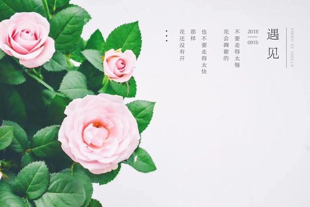 如何进行有效的推销（那些对推销不太了解的人都进来看看）(3)