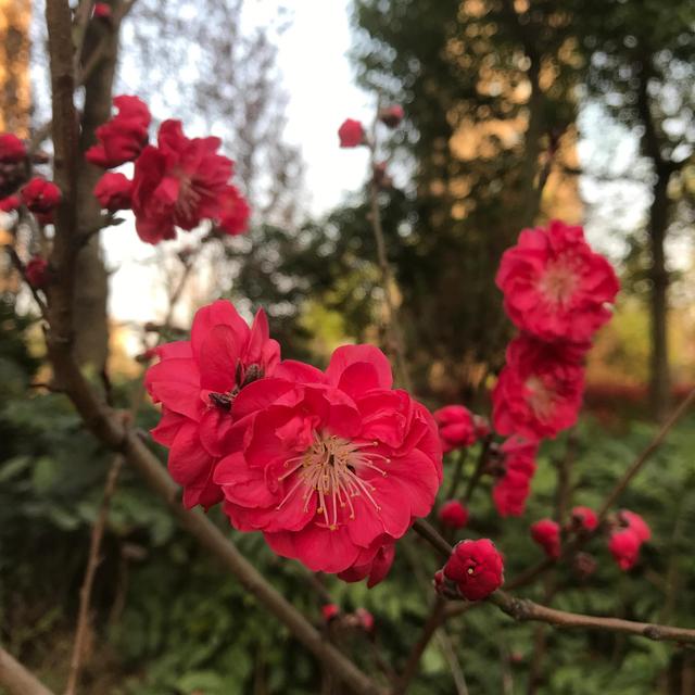 如何进行有效的推销（那些对推销不太了解的人都进来看看）(2)