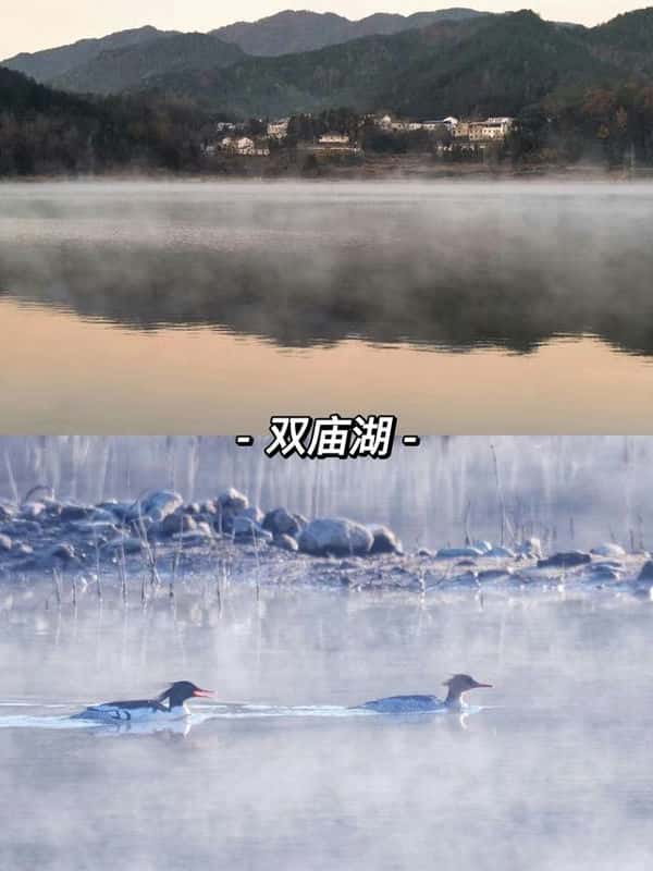 合肥周边免费自驾游景点推荐（合肥周边一日游景点推荐）