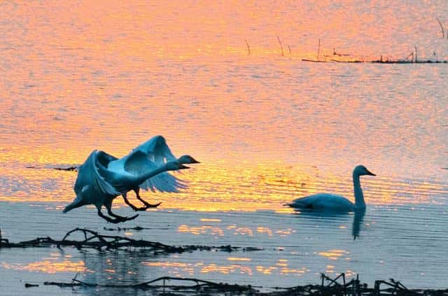 合肥周边免费自驾游景点推荐（合肥周边一日游景点推荐）