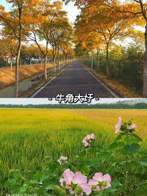 合肥周边免费自驾游景点推荐（合肥周边一日游景点推荐）