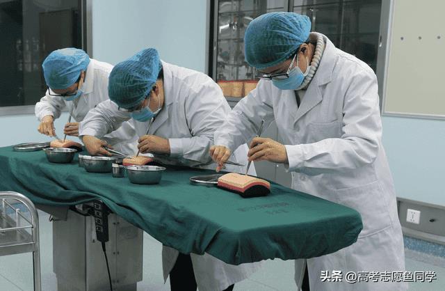 女孩选择什么专业好就业（女孩选什么专业比较好就业）