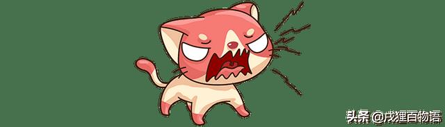 猫不喜欢人抱着（猫咪不喜欢主人抱是怎么回事）