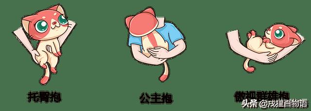 猫不喜欢人抱着（猫咪不喜欢主人抱是怎么回事）
