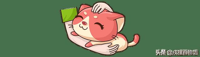 猫不喜欢人抱着（猫咪不喜欢主人抱是怎么回事）