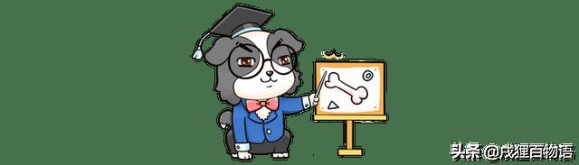 猫不喜欢人抱着（猫咪不喜欢主人抱是怎么回事）