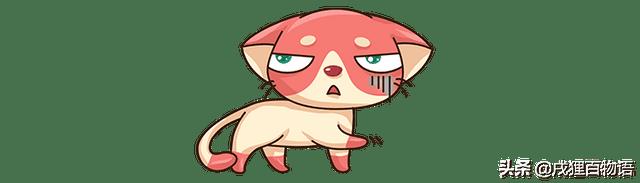 猫不喜欢人抱着（猫咪不喜欢主人抱是怎么回事）