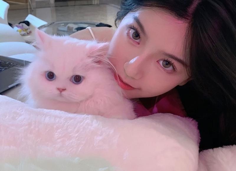 撩妹聊天案例解析偶遇芭蕾舞演员，表示已直不起腰