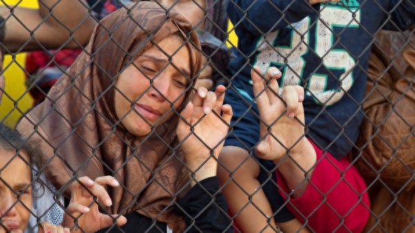 镜头下叙利亚战役中的女性,最后三张令人心疼