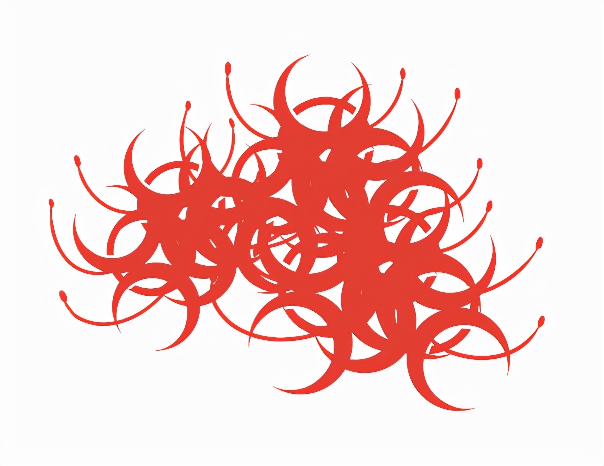 彼岸花简笔画（教你画彼岸花的详细画法步骤）