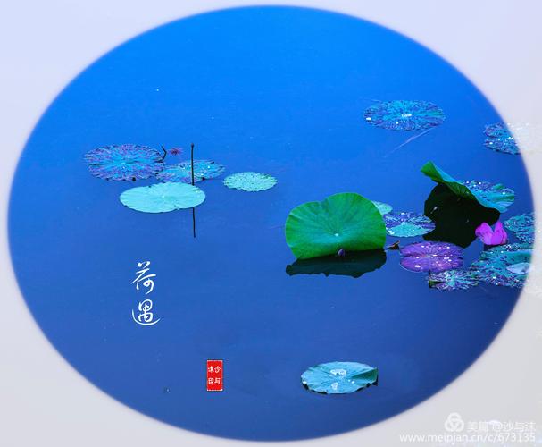 碧水清莲什么意思（碧水清莲的意思说明）