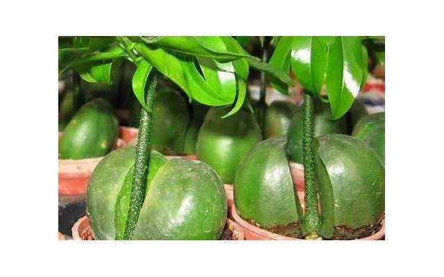 延年益寿的15个生活好习惯，看看自己有多少，10条以上就“达标”