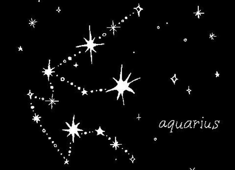 99朵香槟玫瑰多少钱，99支香槟玫瑰多少钱