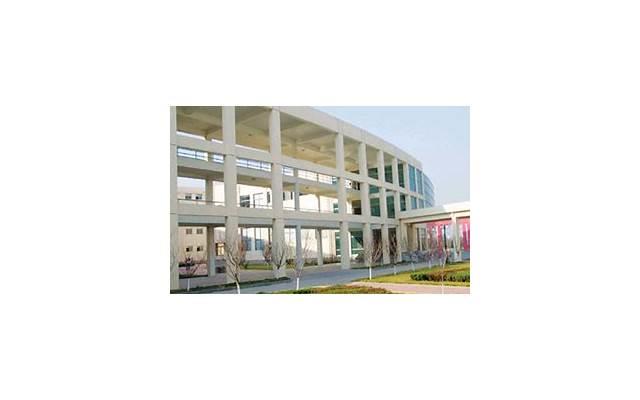 埃里克森没有高等学位