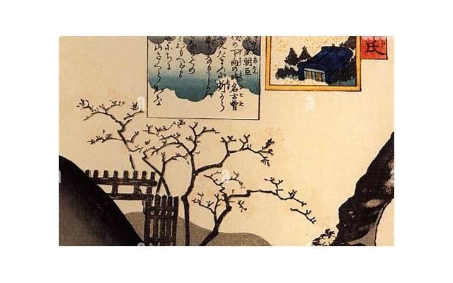 天山童姥叫什么(演天山童姥的4位明星) 天山童姥叫什么(演天山童姥的4位明星)