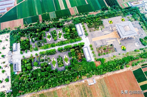 山东济南：章丘洛庄汉墓出土文物3000件，2000年前“地下音乐厅”