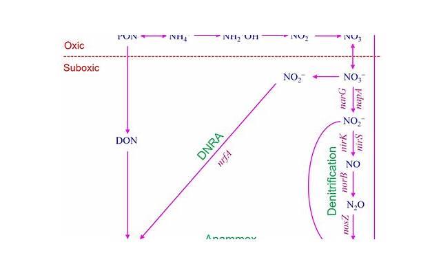 1988属龙几岁遇真爱 1988属龙几岁遇真爱