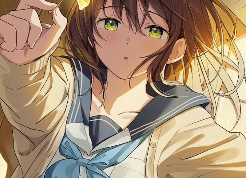 向风而行更新时间（向风而行更新时间表）