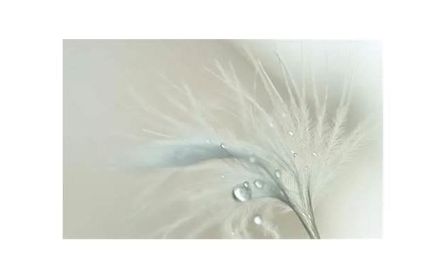 女方一次去男方家买什么(女方见男方家长禁忌) 女方一次去男方家买什么(女方见男方家长禁忌)