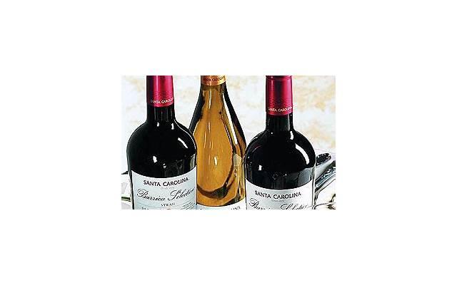 监狱里微信撩妹七位女士