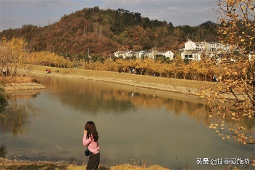 湖北省 随州市 中国千年银杏谷