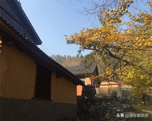 湖北省 随州市 中国千年银杏谷