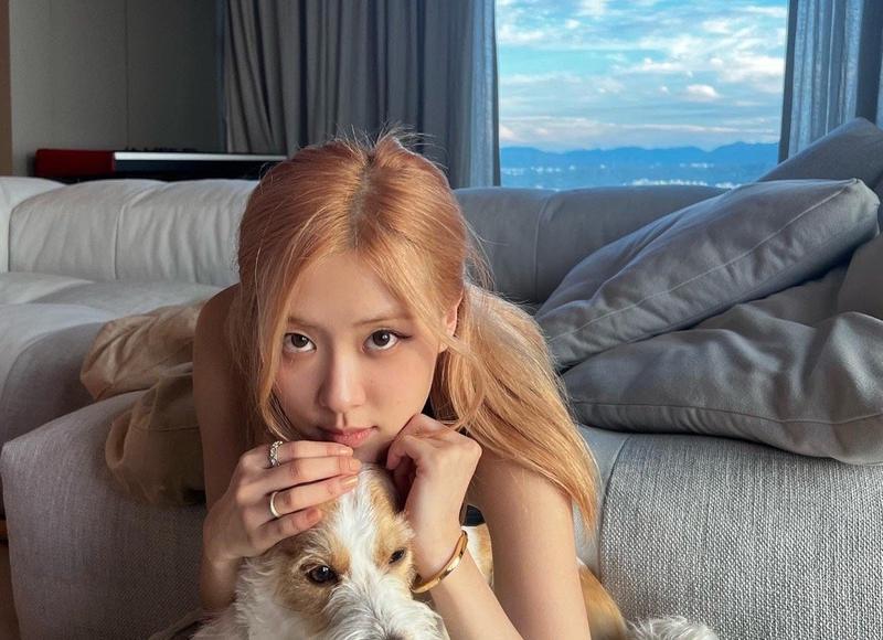 没确定关系第一次约会注意什么(没确定关系第一次约会送啥花)