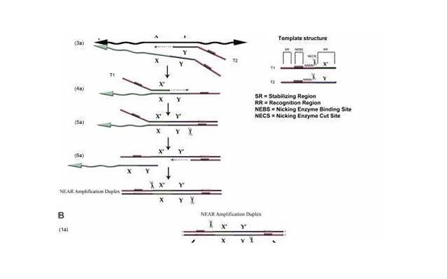 渣男被识破后的心理